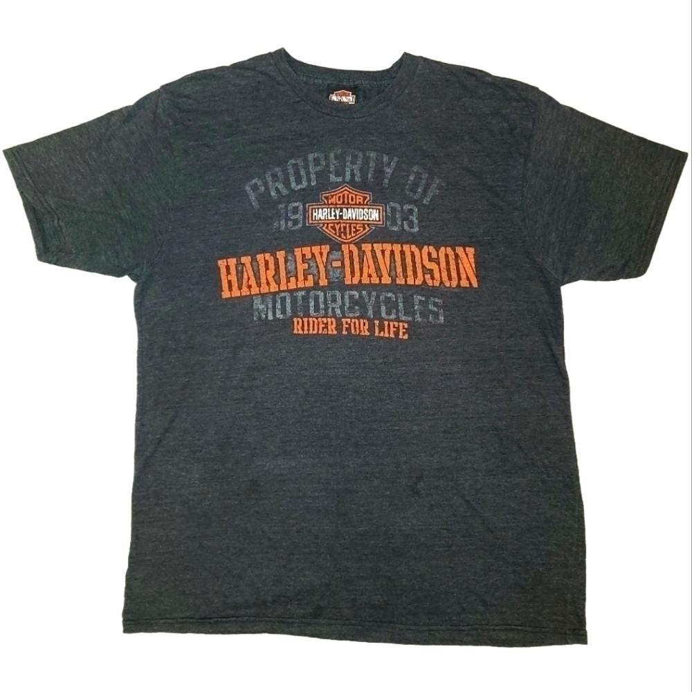 HARLEY Davidson Gray Rider For Life Shirt